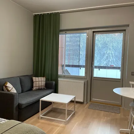 Hyvin Varusteltu Yksioe 27 M² , 6 アパート